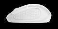 Trust 24795 Primo Kablosuz Mouse-Beyaz